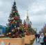 Новогодняя ель Тверской области украсила ВДНХ на Международной выставке «Россия» - Жарковский вестник